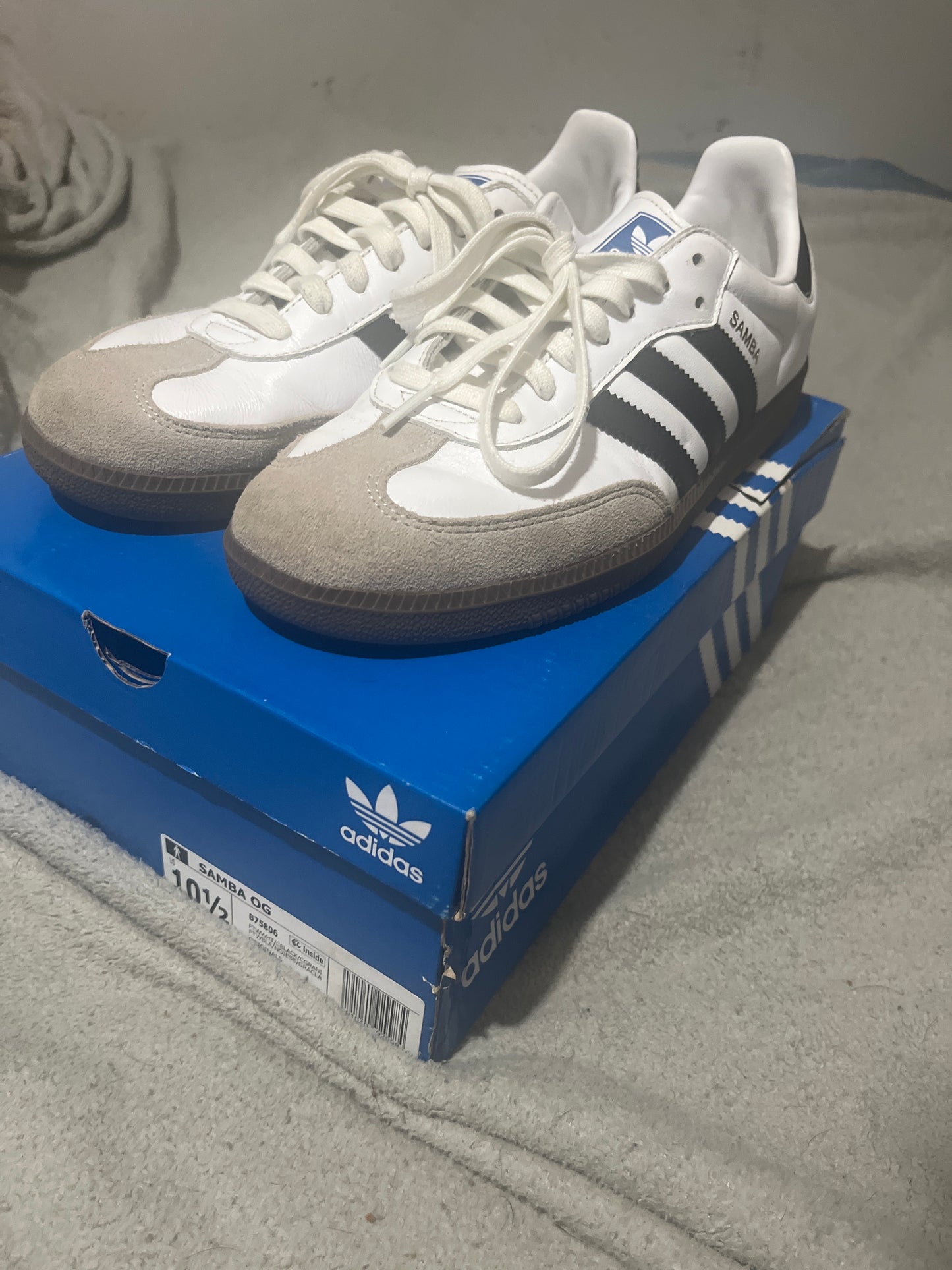 Adidas Sambas | Starz Shoez